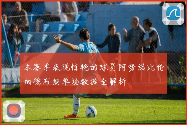 本赛季表现惊艳的球员阿努诺比伦纳德布朗单场数据全解析